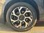 Immagine 16