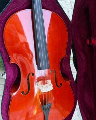 Violoncello 4/4