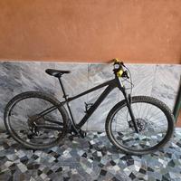 cube attention sl 2022