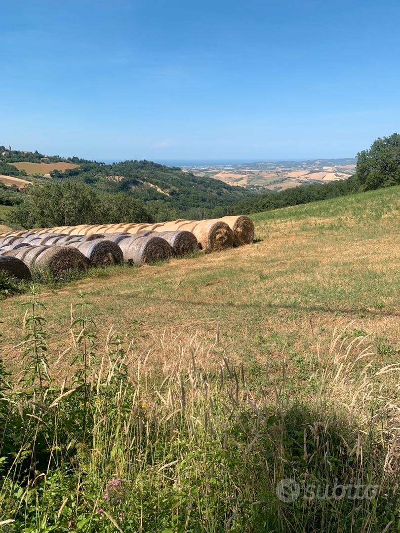 Terreno agricolo - Vista 3