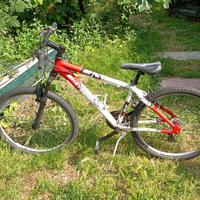 Mountain bike 