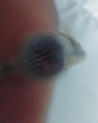 Anello