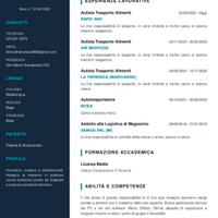 Tutto fare