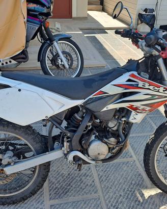 Moto Beta 50 cilindrata usata