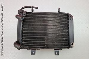 RADIATORE ACQUA KTM DUKE 690 2007 2008 2009