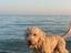 Immagine 2