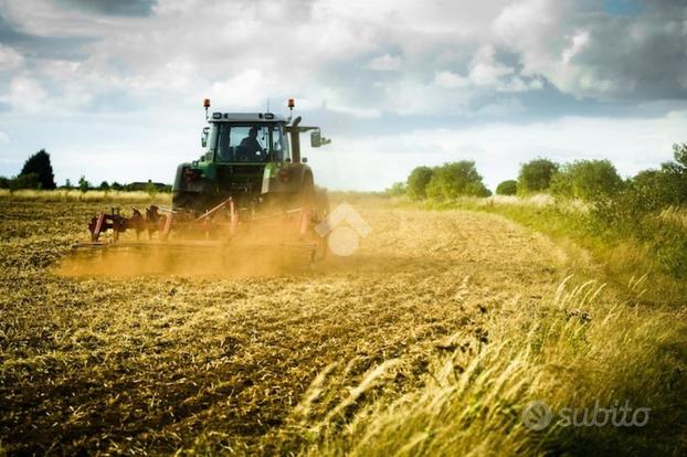 TER. AGRICOLO A CALCIO