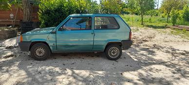 PANDA YOUNG  1100