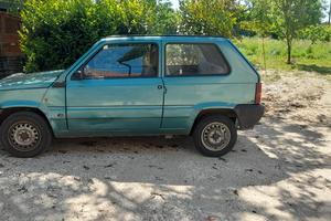 PANDA YOUNG  1100