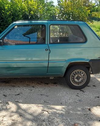PANDA YOUNG  1100