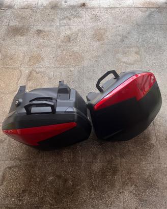 Multistrada 950 Red
