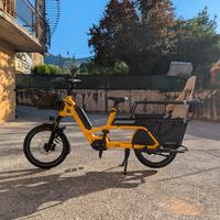 Long Tail Velo de Ville