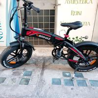 ebike BRINKE CERBERO