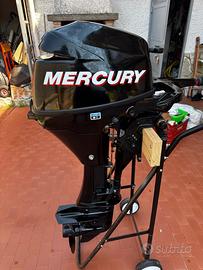 Motore Mercury 9.9 cv Bigfoot del 2013