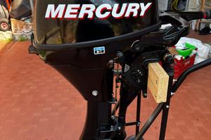 Motore Mercury 9.9 cv Bigfoot del 2013