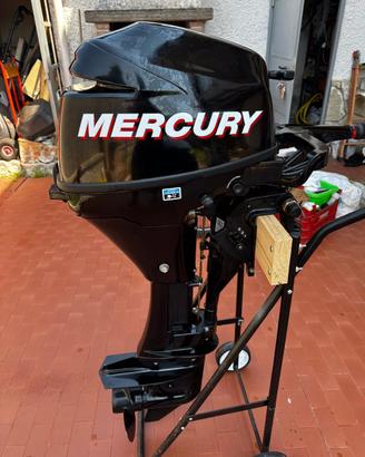 Motore Mercury 9.9 cv Bigfoot del 2013