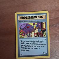 Carta Pokémon Addestramento Raccolta Notturna Spaz