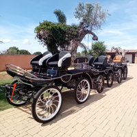 Carrozza marathon wagonet