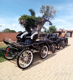 Carrozza marathon wagonet