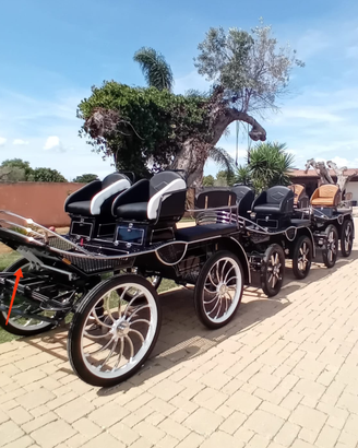 Carrozza marathon wagonet