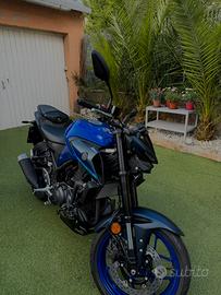 Mt03 2026