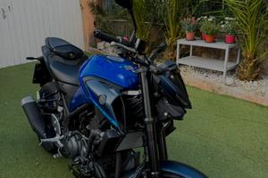 Mt03 2026