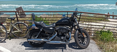 Harley Davidson 883 iron