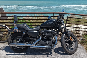 Harley Davidson 883 iron