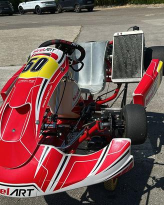 Go Kart Birel
