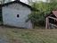 Immagine 6