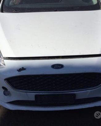 Ford fiesta anno 2018