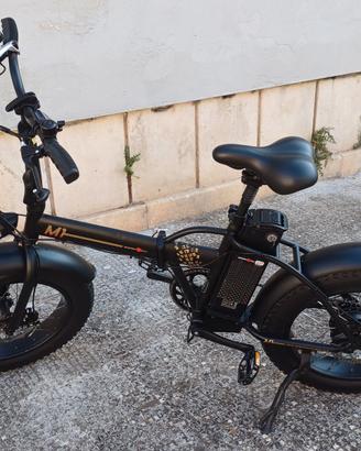 Fat bike elettrica