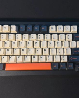 Tastiera MonsGeek M1W V3 Full Custom