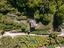 Immagine 23