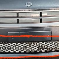 Griglia Smart Forfour I serie 2004-2007