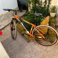 Atala snap 29