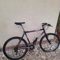 atala bird c90 Mountain bike