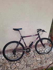 atala bird c90 Mountain bike