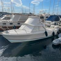 Bertram 25