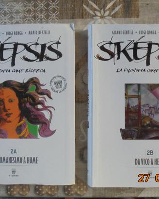 LIBRI SKEPSIS 2a + 2b , 3a + 3b