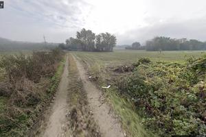 Terreno agricolo Cesate (MI)