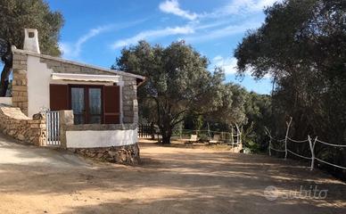 Palau nel verde Porto Pollo Nord Sardegna