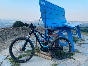 Ebike biammortizzata