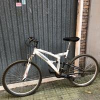 Bici Biammortizzata