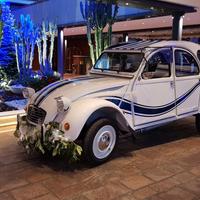 Citroen 2CV France 3