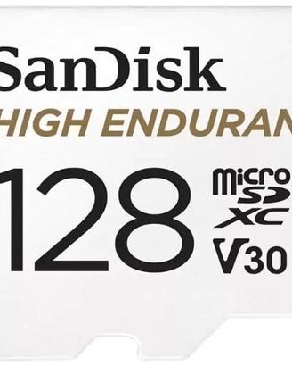 Endurance microSDXC card for IP & dash 