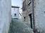 Immagine 11