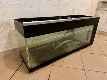 Acquario
