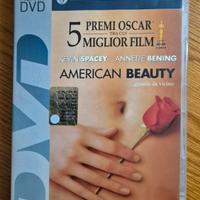 DVD American Beauty