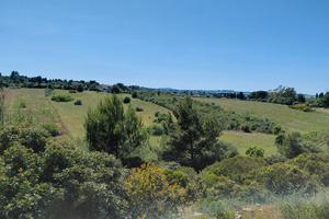 Terreno baddelonga russeglia - sassari